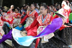 よさこい祭り4