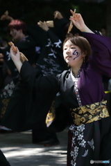 よさこい祭り3
