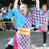 よさこい祭り8