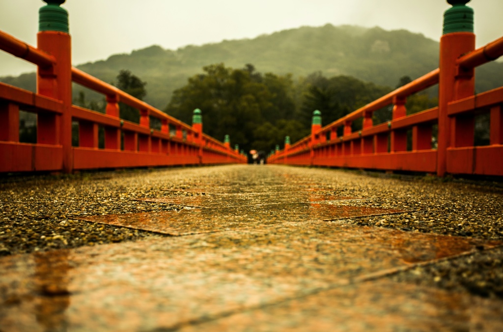 宇治