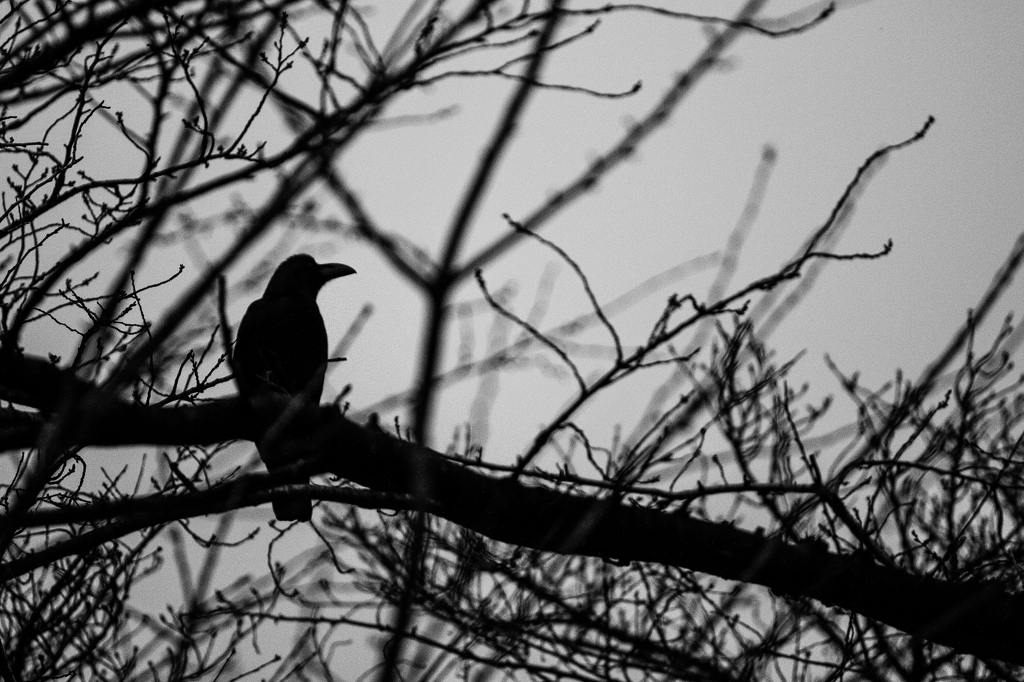 IMG_3297