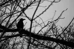 IMG_3297