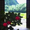 紫陽花シルエット