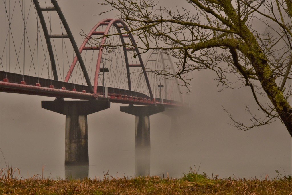 はなももまつり2