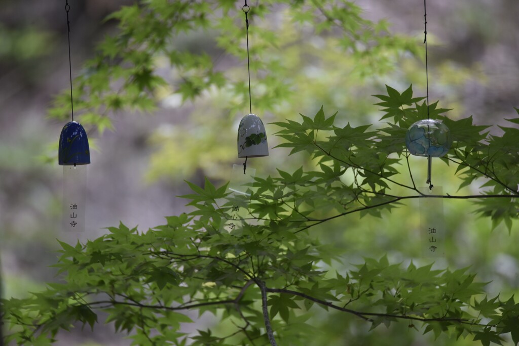 遠州三山風鈴まつり・油山寺