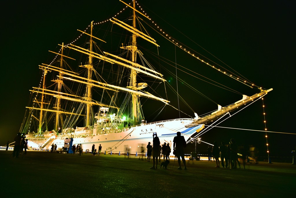 海王丸ライトアップ