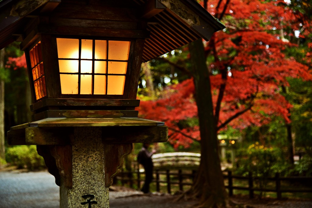 灯籠と紅葉