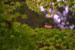 大丈夫ですか？