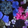 花手水