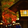 灯籠と紅葉２