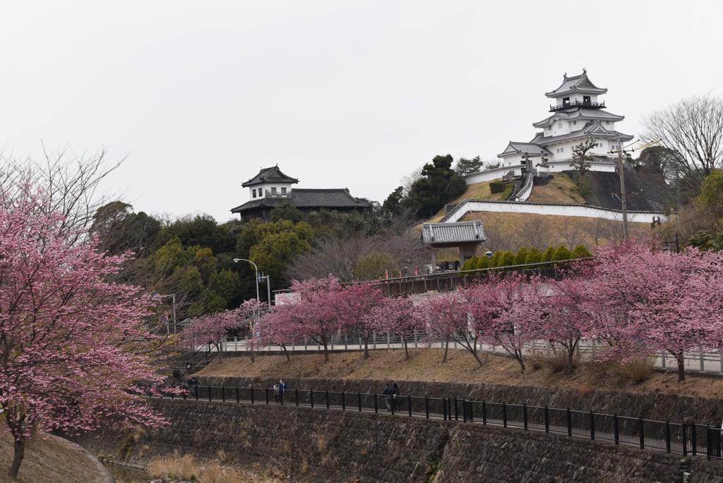 桜・お城