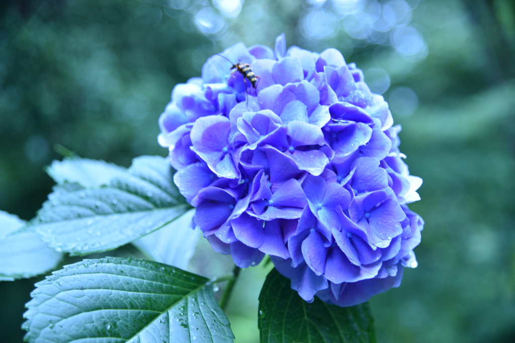 お気に入りの場所で