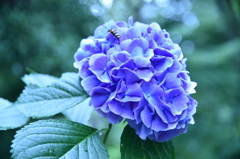 お気に入りの場所で