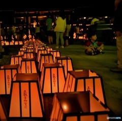 258段昇ってこれか！もう歩かない。