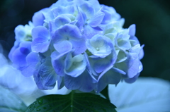 お気に入りの場所で