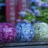 紫陽花ボール
