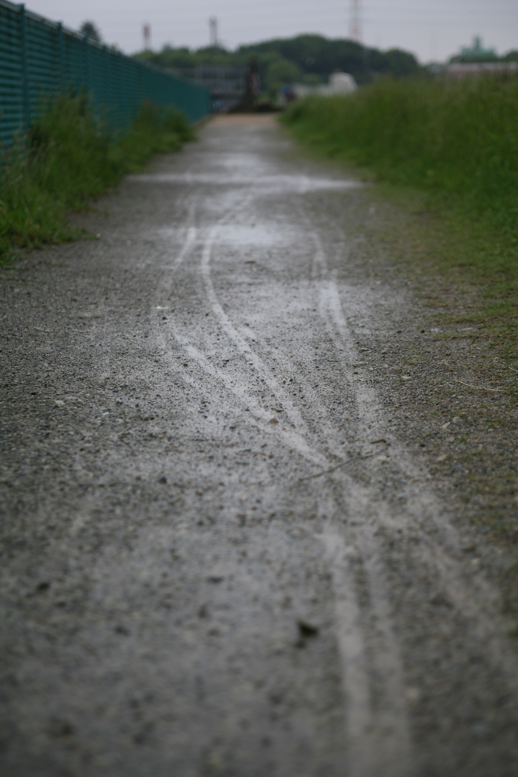 雨上がり、予報は晴