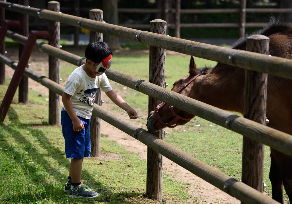 子供と馬