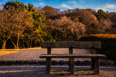 ベンチ