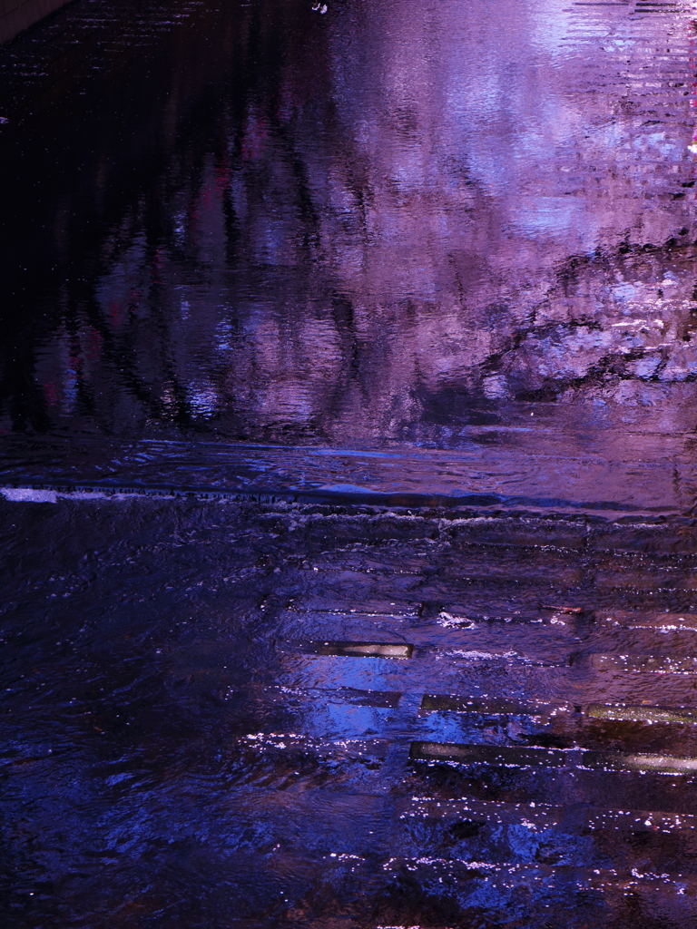 川面桜
