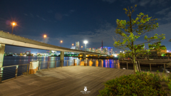 Yokohama Night View