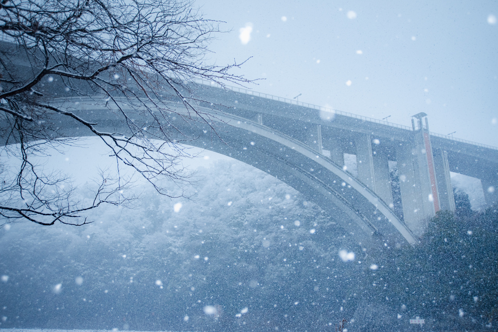 雪景色