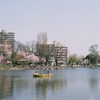 公園