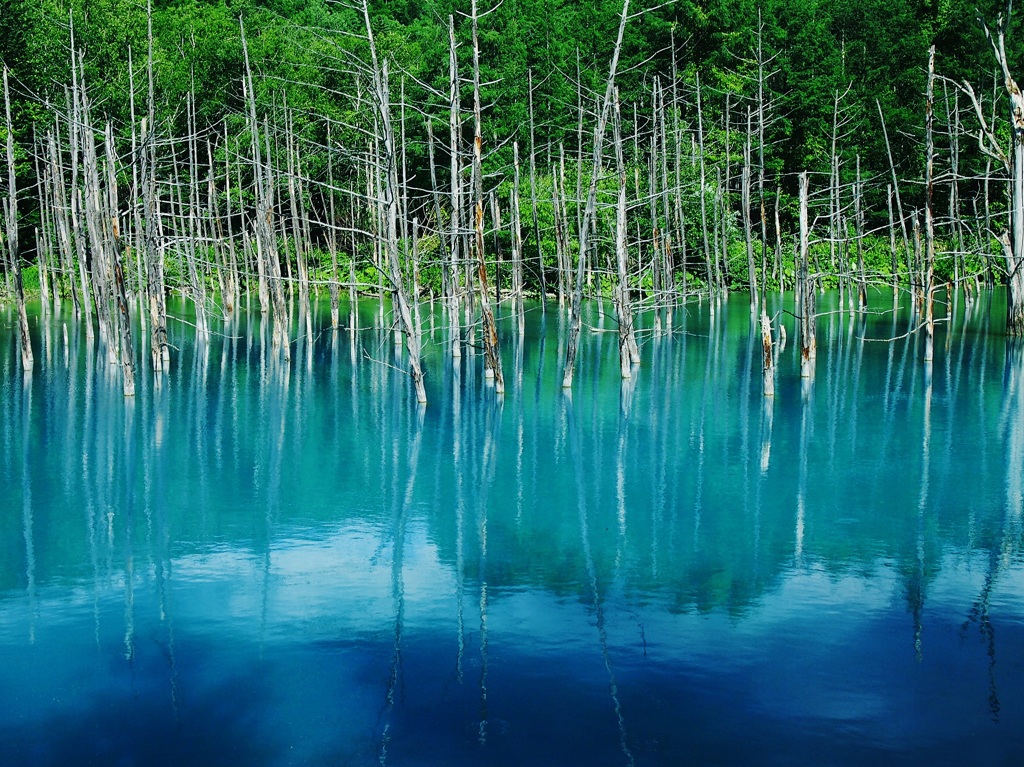 青い池