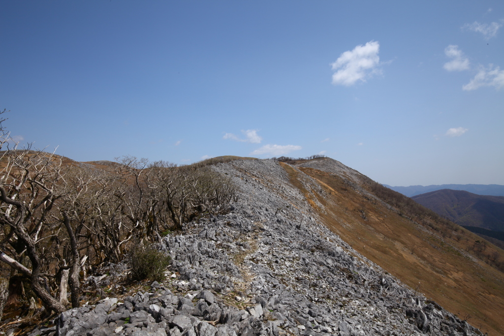 霊仙山へ。