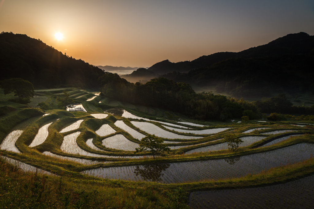 大山千枚田