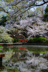 Landscape snap ~鎌倉散歩~