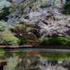 Landscape snap ~鎌倉散歩~