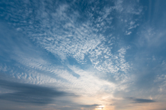 Landscape snap ~鎌倉散歩~