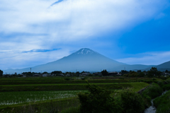 Landscape snap