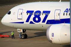 太陽を浴びた787
