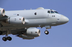 P-1