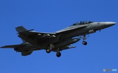 NF100