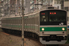 ハエ28