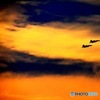 空中待機