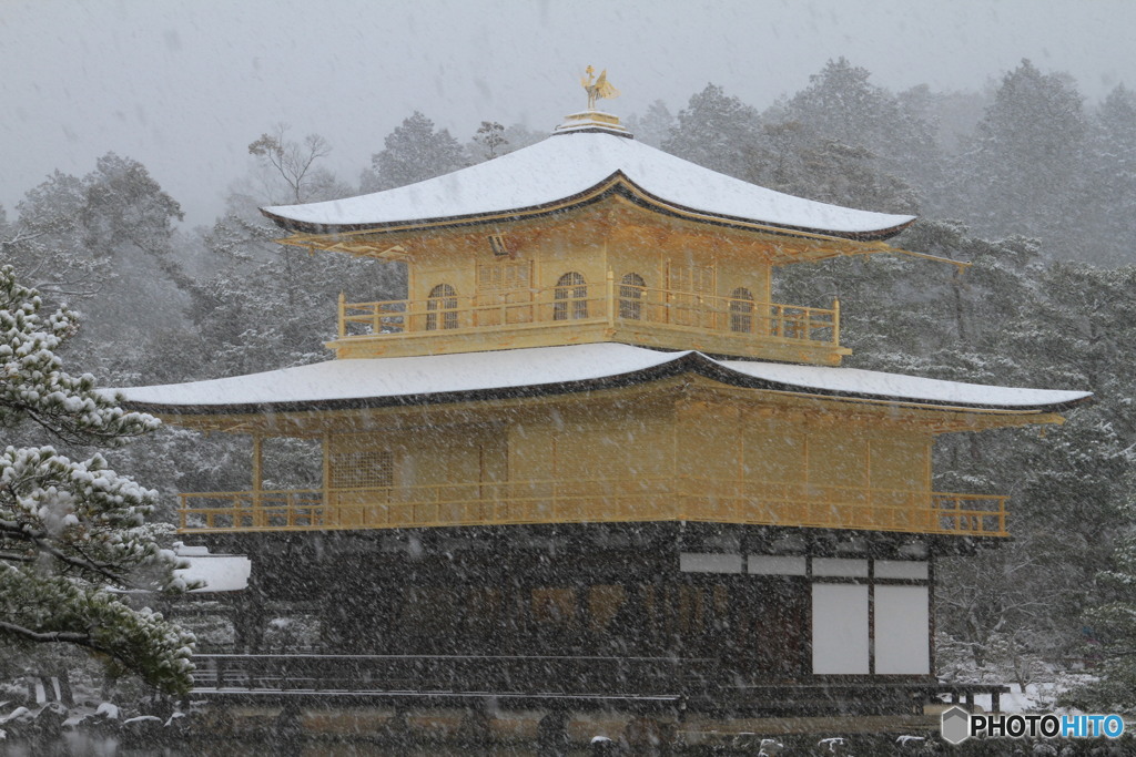 雪の金閣