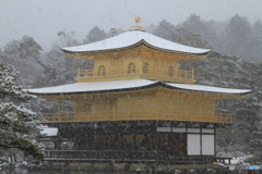 雪の金閣