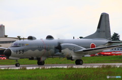 YS-11