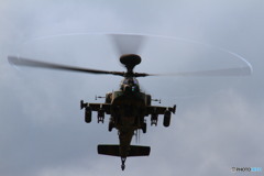 重鎮の飛来