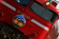EF81