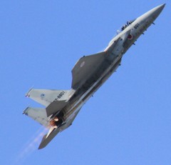 IMG_9863