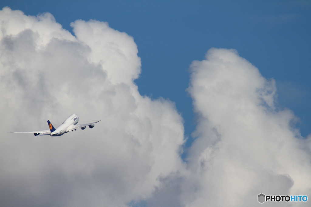 ドイツへ向け夏空を飛んでいくジャンボ