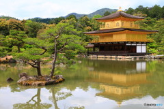 金閣寺