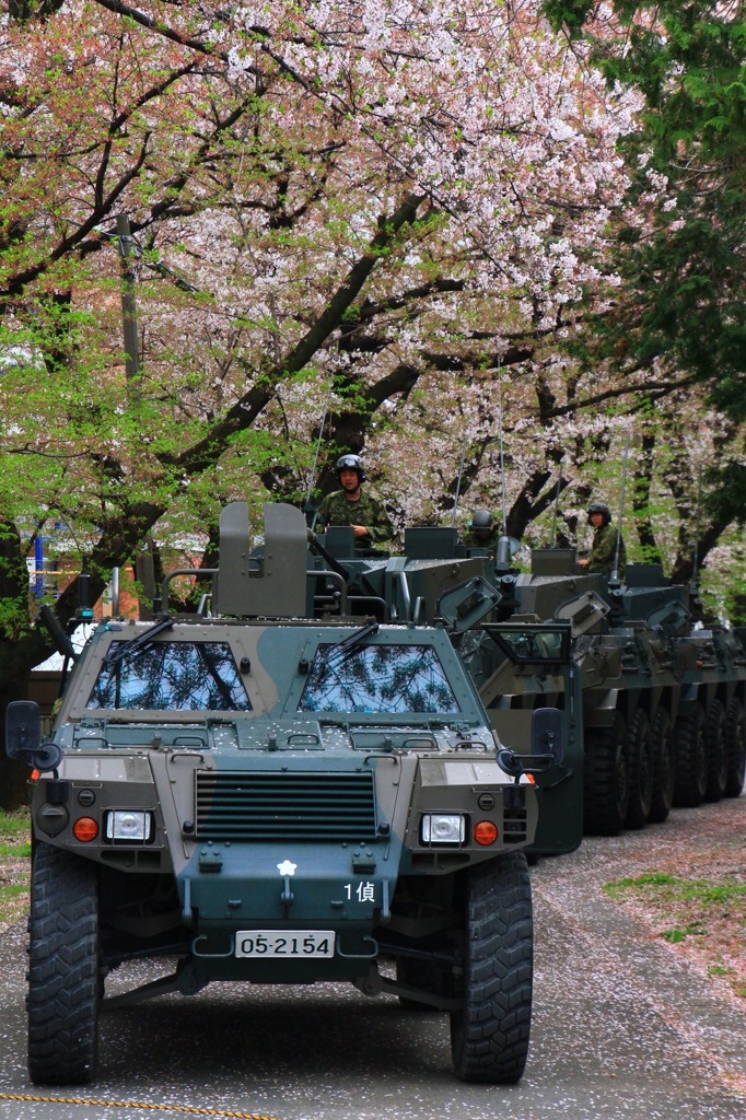 桜と軽機動車