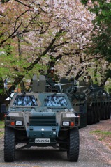 桜と軽機動車