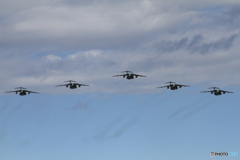 C-1の群れ